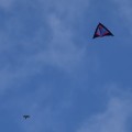 DSC_7333